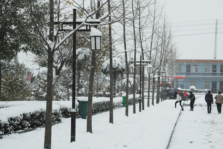 雪景